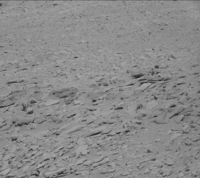 Sol 315: Mast Camera (Mastcam)