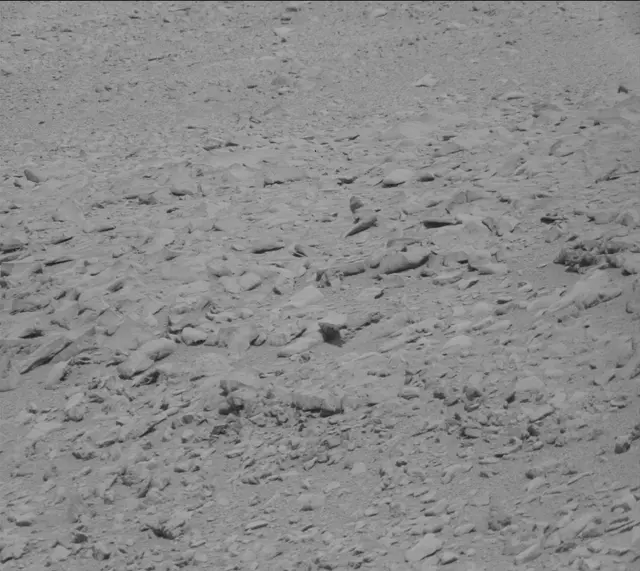 Sol 315: Mast Camera (Mastcam)