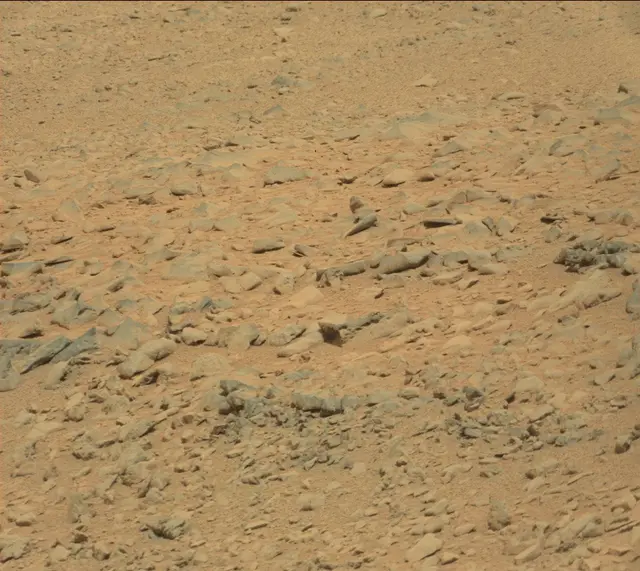 Sol 315: Mast Camera (Mastcam)