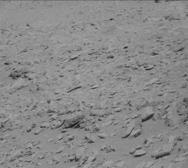 Sol 315: Mast Camera (Mastcam)