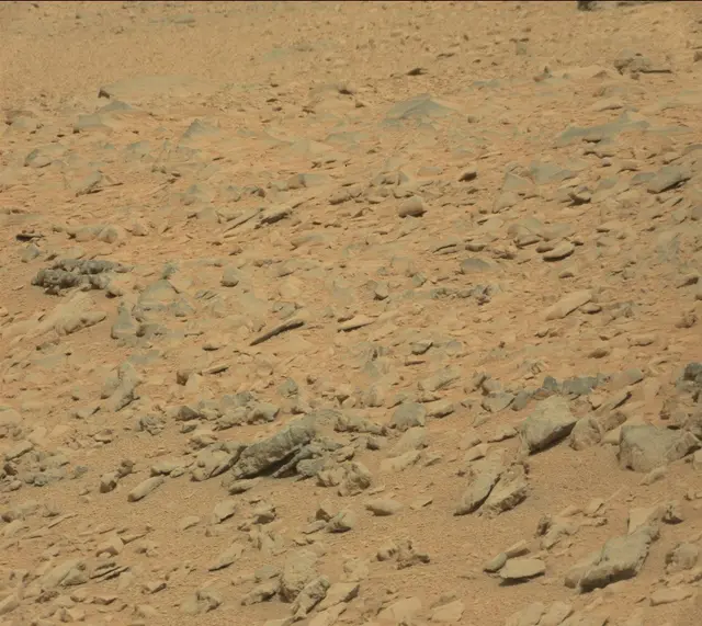 Sol 315: Mast Camera (Mastcam)