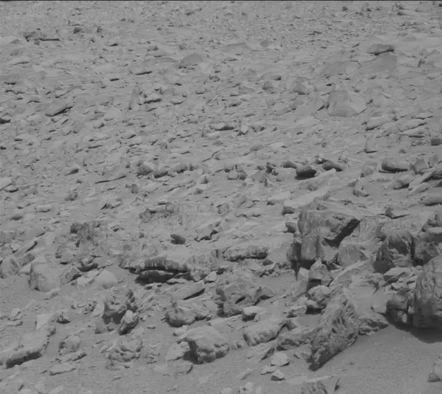 Sol 315: Mast Camera (Mastcam)