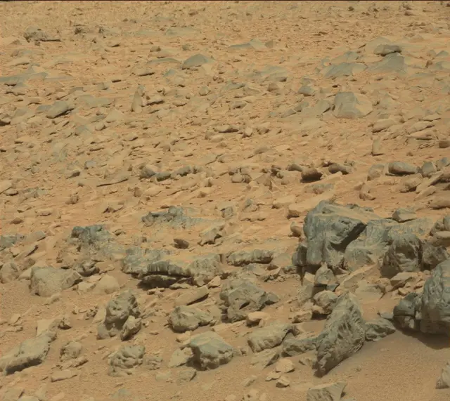 Sol 315: Mast Camera (Mastcam)
