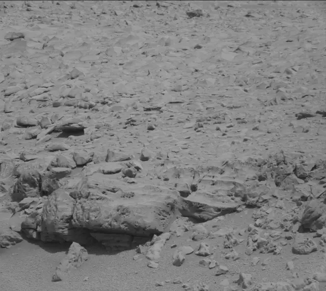 Sol 315: Mast Camera (Mastcam)
