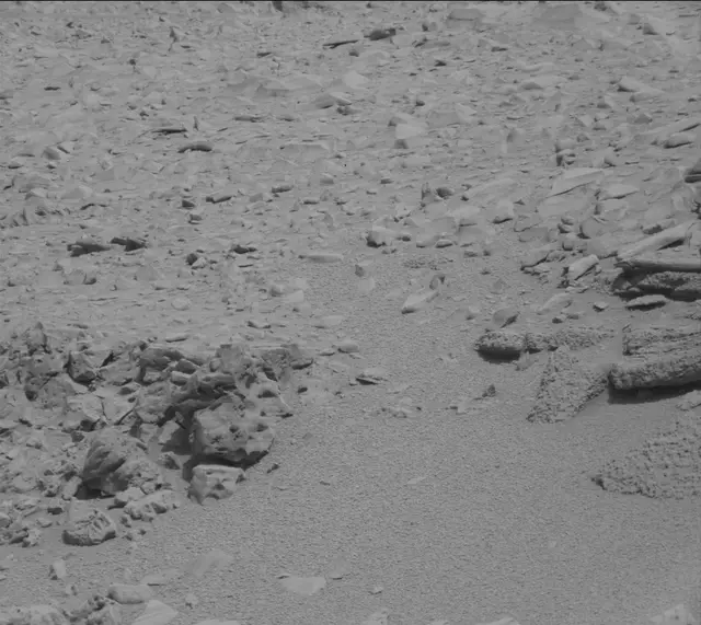 Sol 315: Mast Camera (Mastcam)