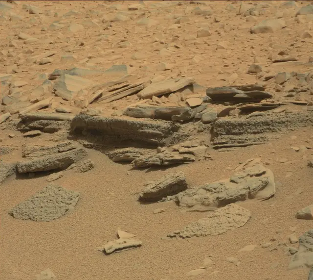 Sol 315: Mast Camera (Mastcam)