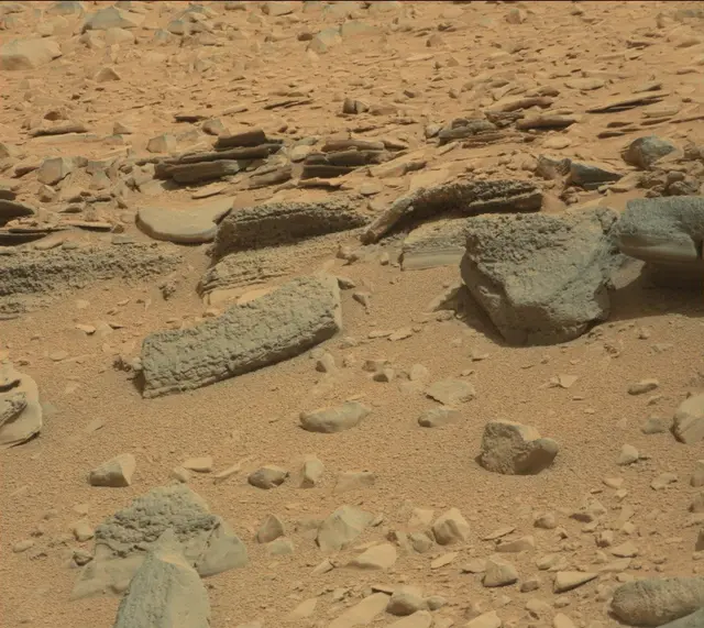 Sol 315: Mast Camera (Mastcam)