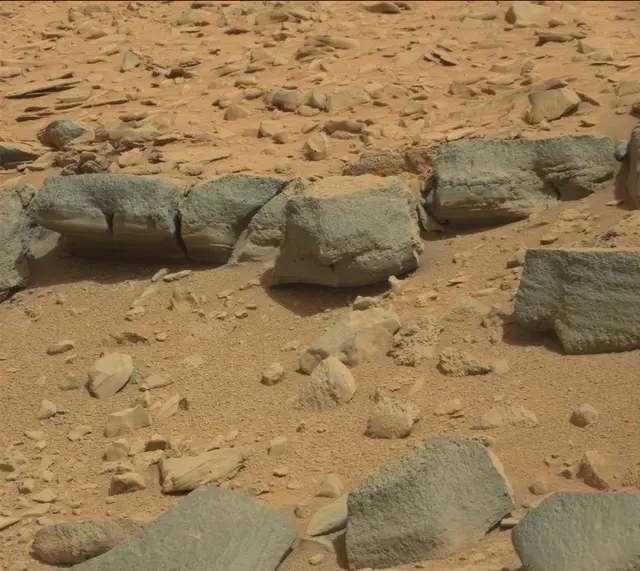 Sol 315: Mast Camera (Mastcam)