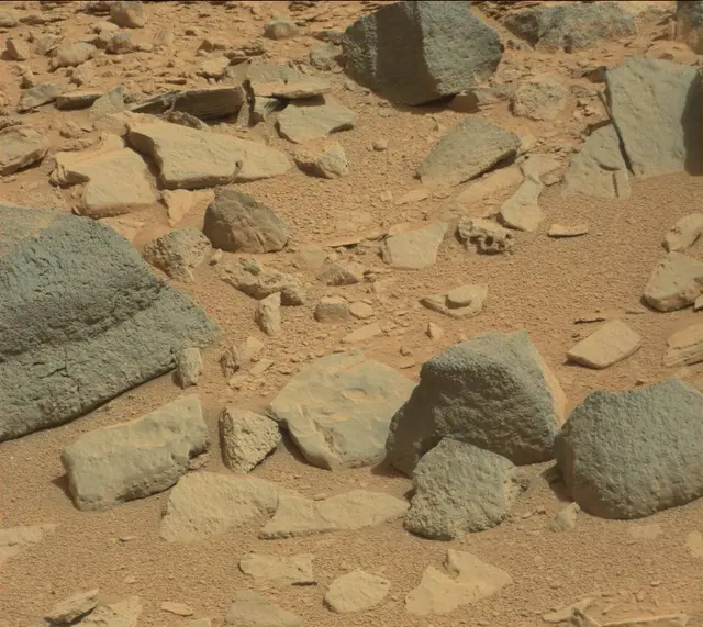 Sol 315: Mast Camera (Mastcam)