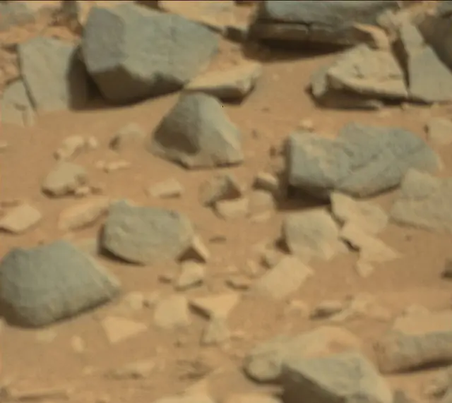 Sol 315: Mast Camera (Mastcam)
