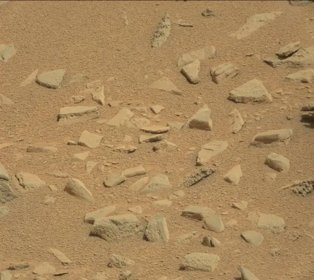 Sol 315: Mast Camera (Mastcam)