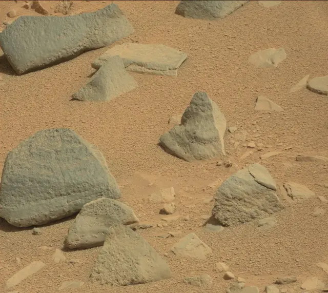 Sol 315: Mast Camera (Mastcam)