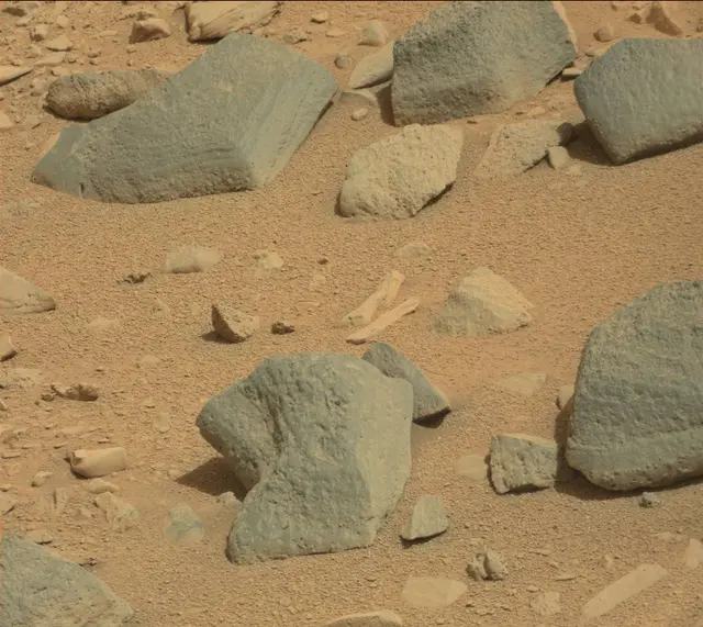 Sol 315: Mast Camera (Mastcam)