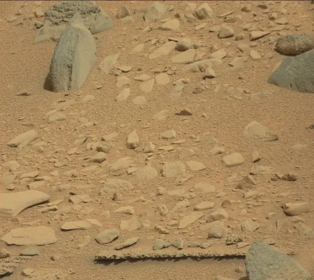Sol 315: Mast Camera (Mastcam)