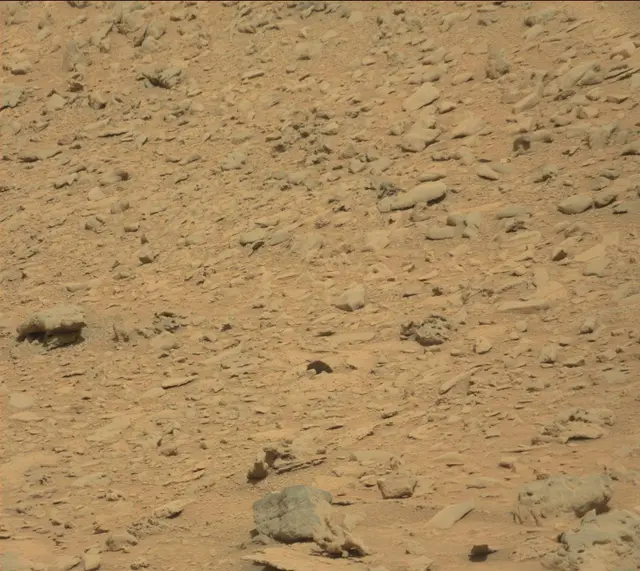 Sol 315: Mast Camera (Mastcam)