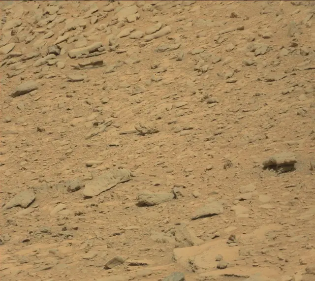 Sol 315: Mast Camera (Mastcam)