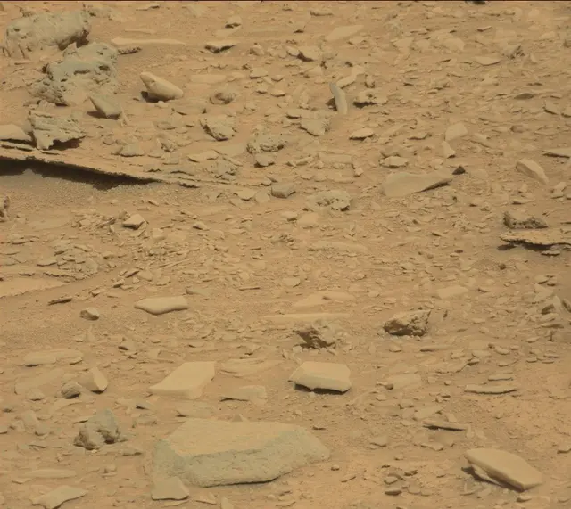 Sol 315: Mast Camera (Mastcam)