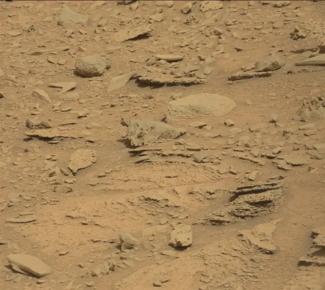 Sol 315: Mast Camera (Mastcam)