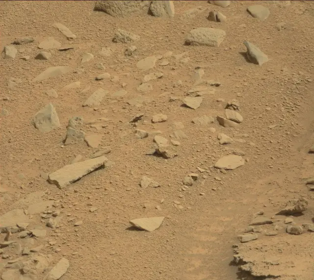 Sol 315: Mast Camera (Mastcam)