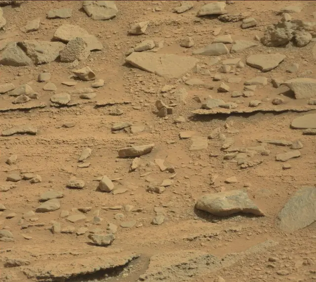 Sol 315: Mast Camera (Mastcam)