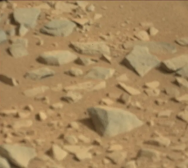 Sol 315: Mast Camera (Mastcam)