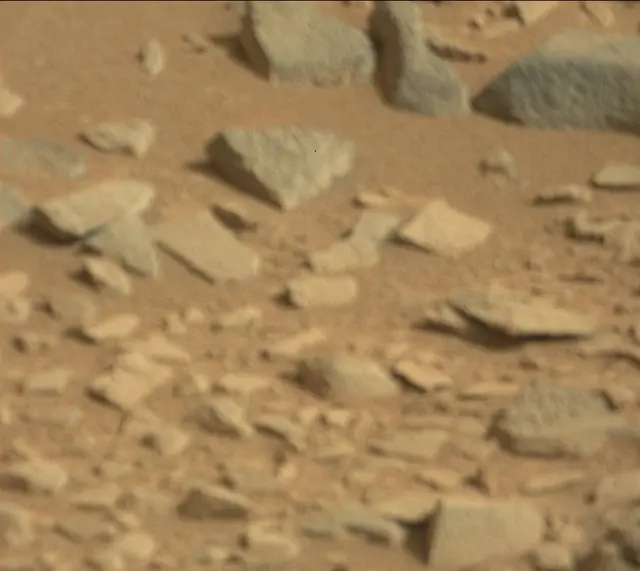 Sol 315: Mast Camera (Mastcam)