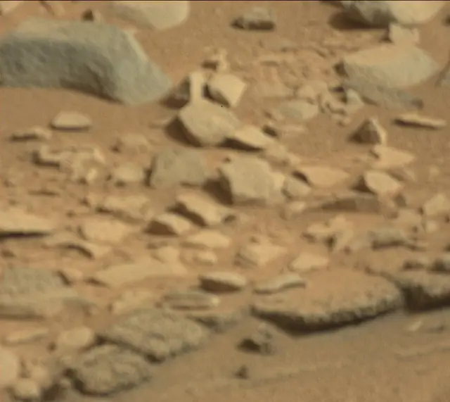 Sol 315: Mast Camera (Mastcam)