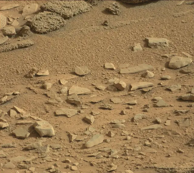 Sol 315: Mast Camera (Mastcam)