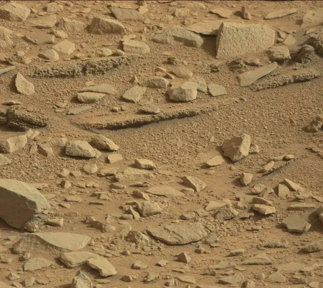 Sol 315: Mast Camera (Mastcam)