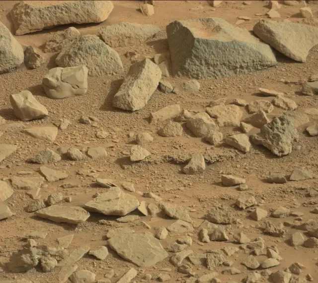 Sol 315: Mast Camera (Mastcam)