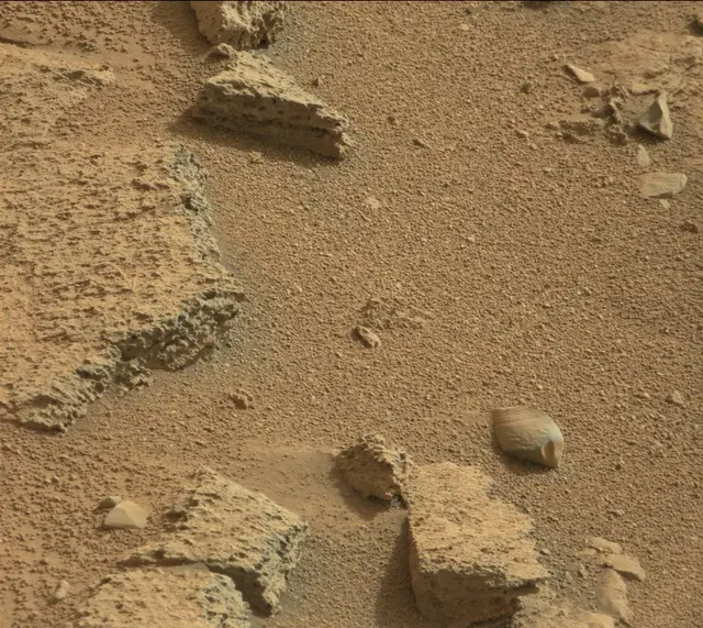Sol 315: Mast Camera (Mastcam)
