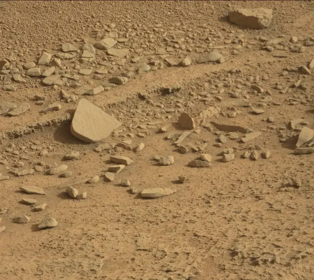 Sol 315: Mast Camera (Mastcam)