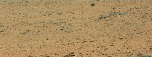Sol 316: Mast Camera (Mastcam)
