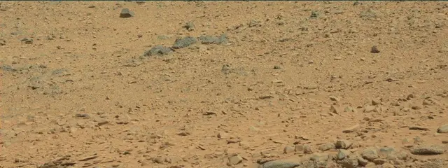 Sol 316: Mast Camera (Mastcam)