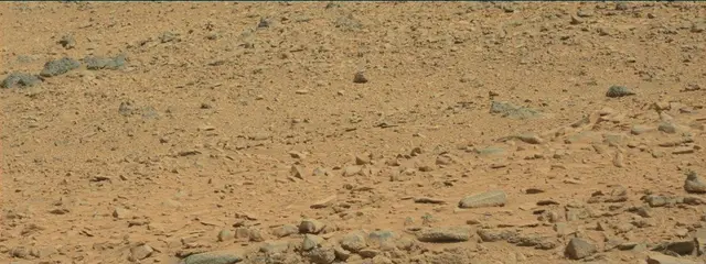 Sol 316: Mast Camera (Mastcam)