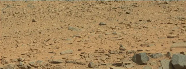 Sol 316: Mast Camera (Mastcam)