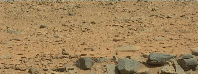 Sol 316: Mast Camera (Mastcam)
