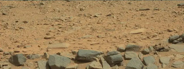 Sol 316: Mast Camera (Mastcam)