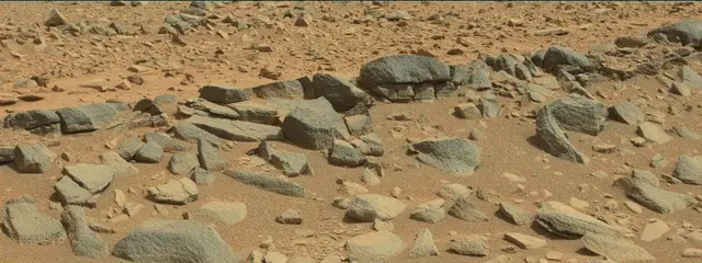 Sol 316: Mast Camera (Mastcam)