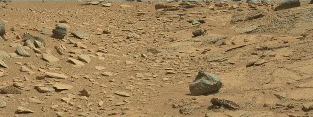 Sol 316: Mast Camera (Mastcam)