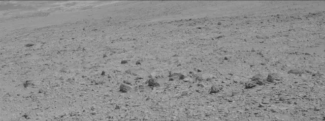 Sol 316: Mast Camera (Mastcam)