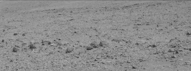 Sol 316: Mast Camera (Mastcam)