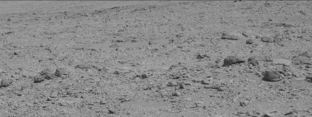 Sol 316: Mast Camera (Mastcam)