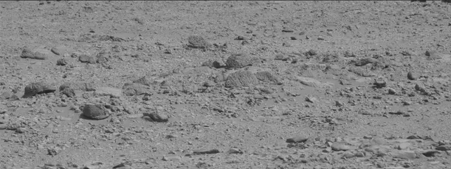 Sol 316: Mast Camera (Mastcam)