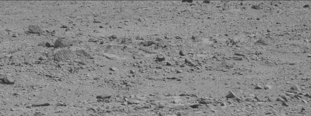 Sol 316: Mast Camera (Mastcam)