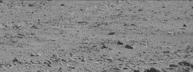Sol 316: Mast Camera (Mastcam)