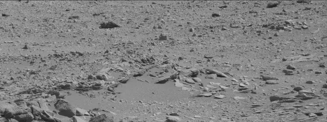 Sol 316: Mast Camera (Mastcam)