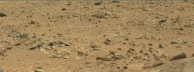 Sol 316: Mast Camera (Mastcam)