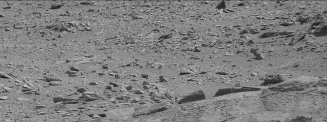 Sol 316: Mast Camera (Mastcam)