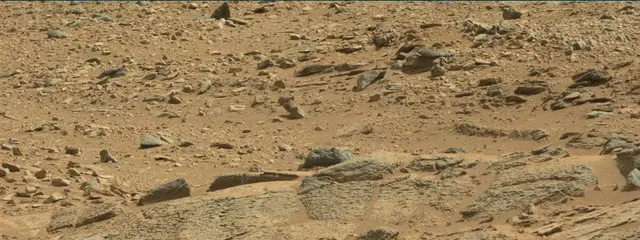 Sol 316: Mast Camera (Mastcam)
